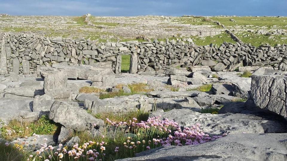 Lanelodge Doolin Extérieur photo