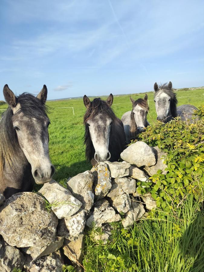 Lanelodge Doolin Extérieur photo
